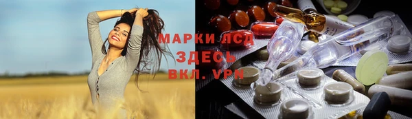 мяу мяу мука Алзамай