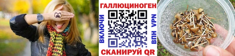 Галлюциногенные грибы Psilocybe  где купить наркоту  Новая Ляля 